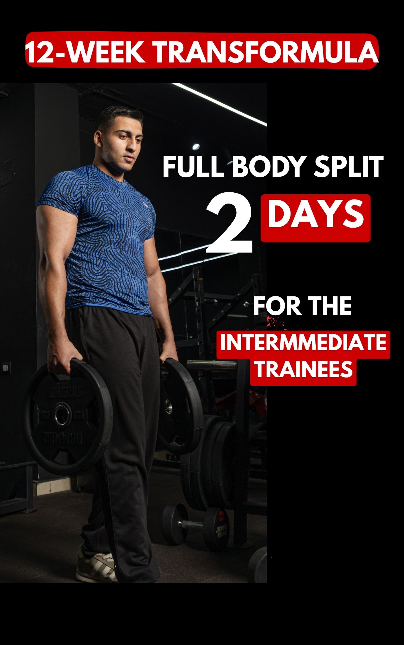 Full Body – يومين (Intermediate- Advanced)