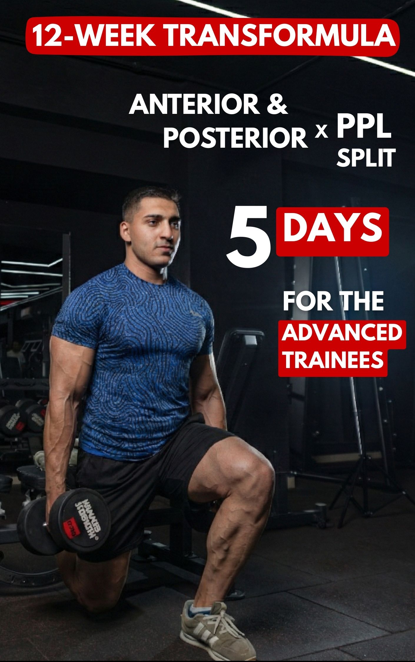 PPL × Anterior & Posterior – 5 أيام (Advanced)