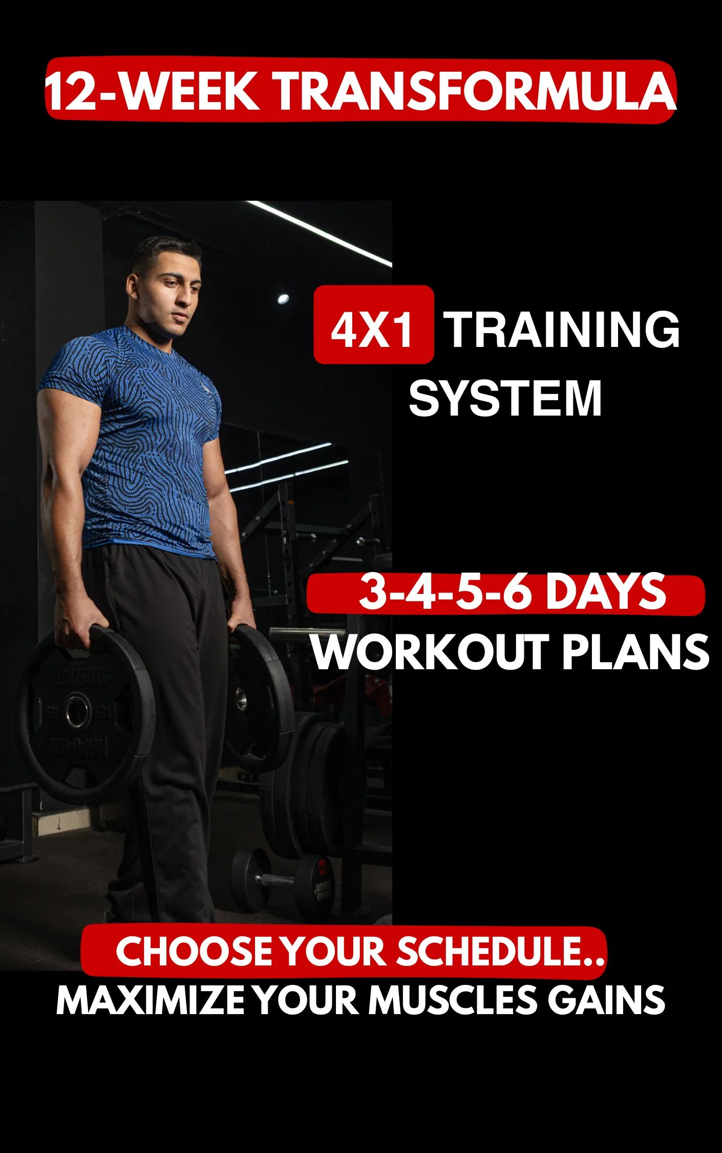 نظام Fit Formula